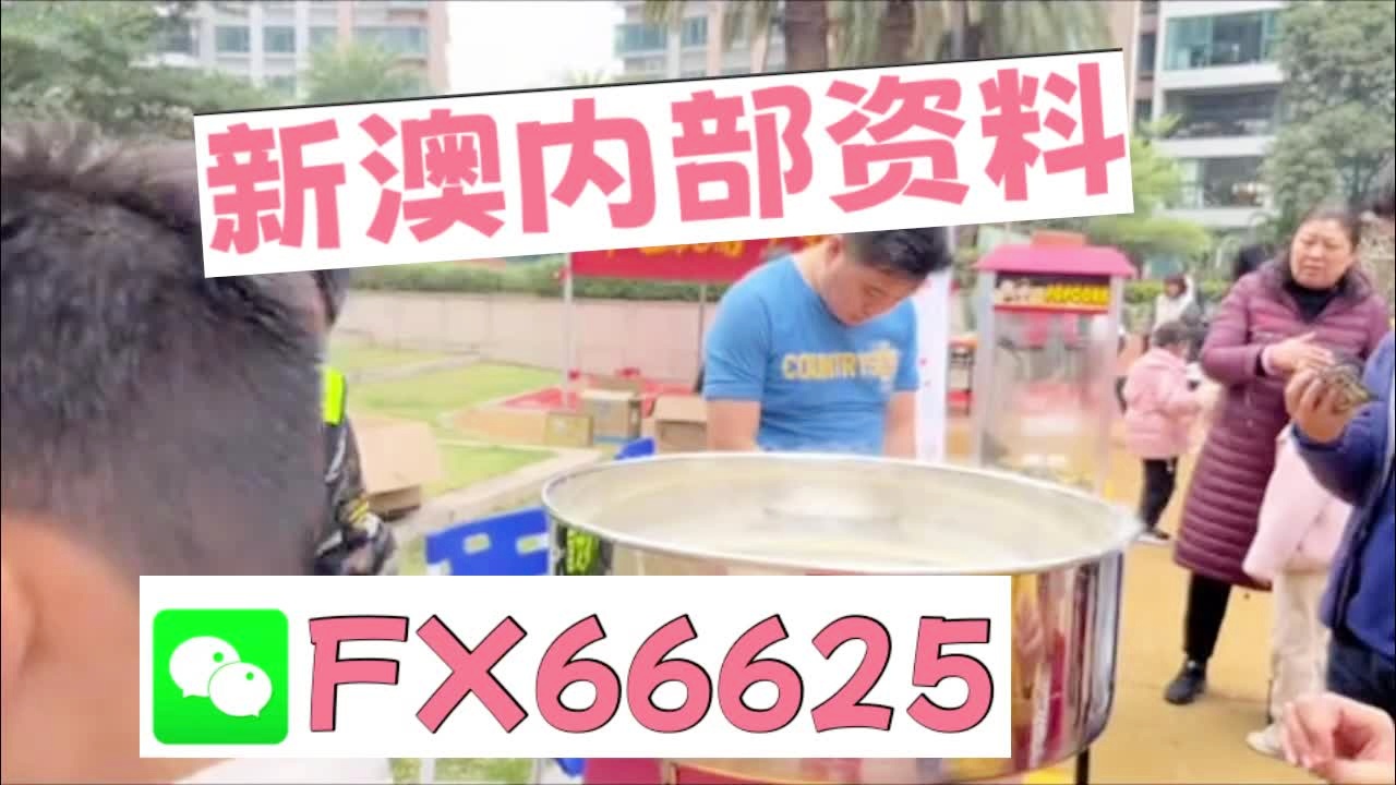新奧2025正版資料大全，全面解析與深度探索，新奧2025正版資料大全，全面解析與深度探索揭秘