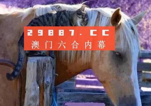 澳門一肖一碼一待一中四不像，探索與解析，澳門一肖一碼一待一中四不像，深度解析與探索