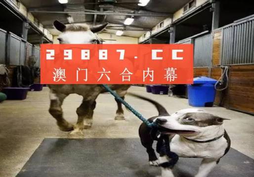澳門一肖一碼一必中一肖，同舟前進的奧秘與策略，澳門一肖一碼必中策略與前進奧秘，同舟共濟的揭秘與策略