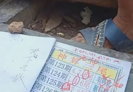 香港中特期期準(zhǔn)資料，深度解析與探索，香港中特期期準(zhǔn)資料深度解析與探索報(bào)告