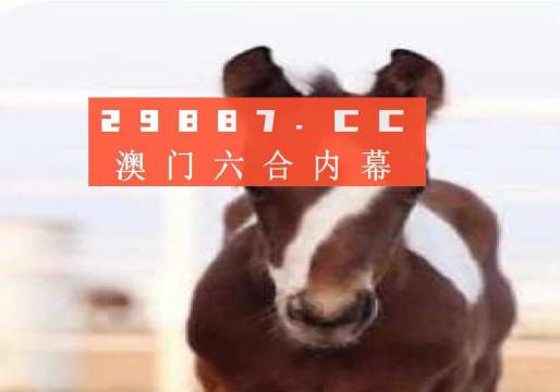 澳門一肖一碼狀元紅，揭秘彩票背后的秘密與策略，澳門彩票揭秘，狀元紅背后的秘密與策略解析