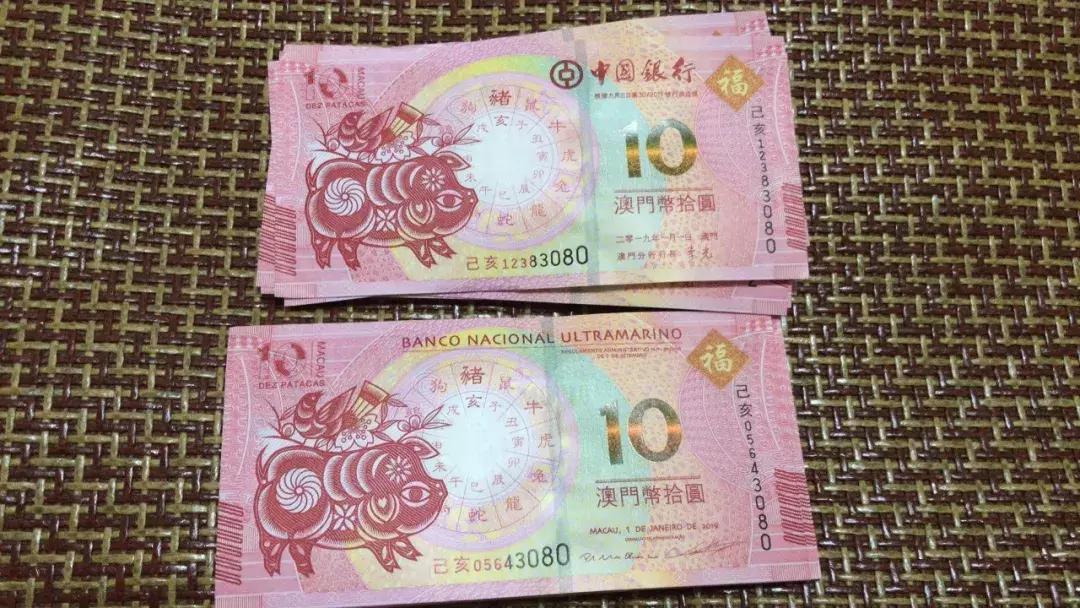 新澳門生肖走勢圖，深度解析與預(yù)測，澳門生肖走勢圖深度解析及預(yù)測報(bào)告