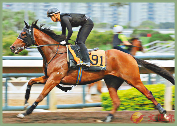 香港賽馬，探索數(shù)字背后的激情與榮耀，香港賽馬，數(shù)字背后的激情與榮耀之旅