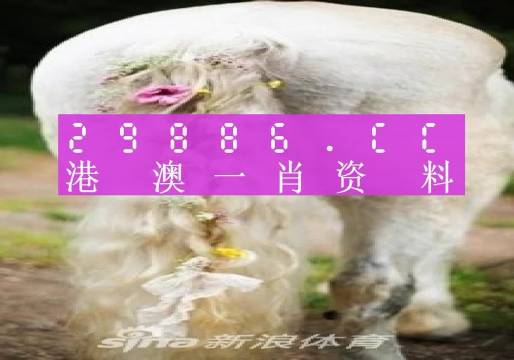 澳門羊了個羊與各大圖庫的資料揭秘，2023年澳門今晚必中一肖一碼永久免費資料庫大解密，澳門羊了個羊與資料庫揭秘，2023年必中一肖一碼永久免費資料大解密
