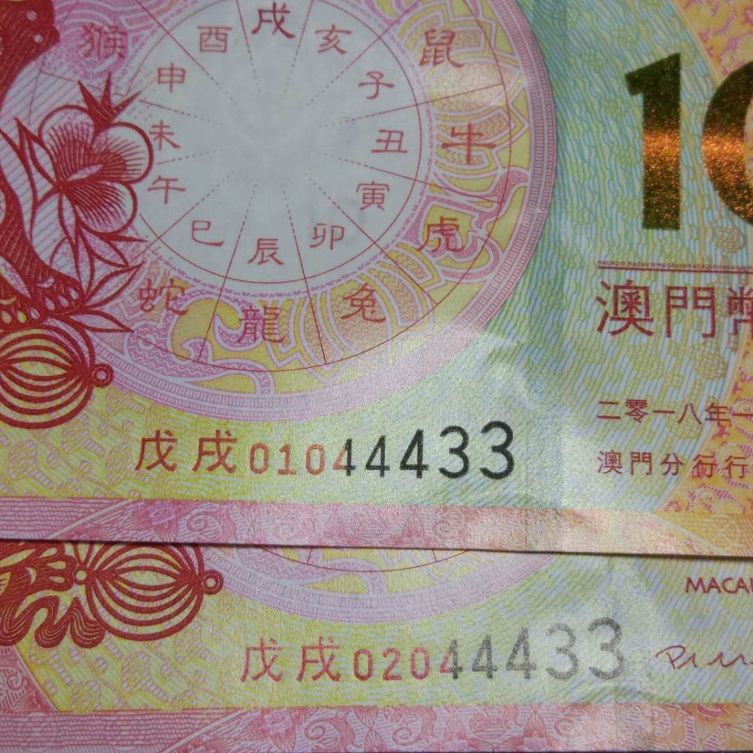 澳門 第316頁