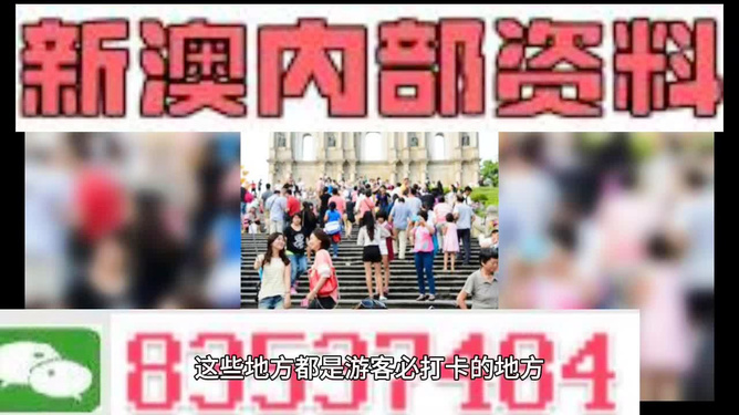 新澳天天開獎(jiǎng)資料大全旅游團(tuán)——探索澳門的魅力之旅，澳門魅力探索之旅，新澳天天開獎(jiǎng)資料大全旅游團(tuán)