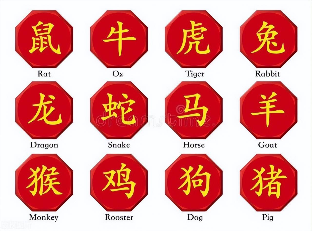 新澳特碼，羊?；⒏鲾?shù)10——揭秘背后的數(shù)字奧秘，揭秘新澳特碼數(shù)字奧秘，羊牛虎各數(shù)背后的秘密