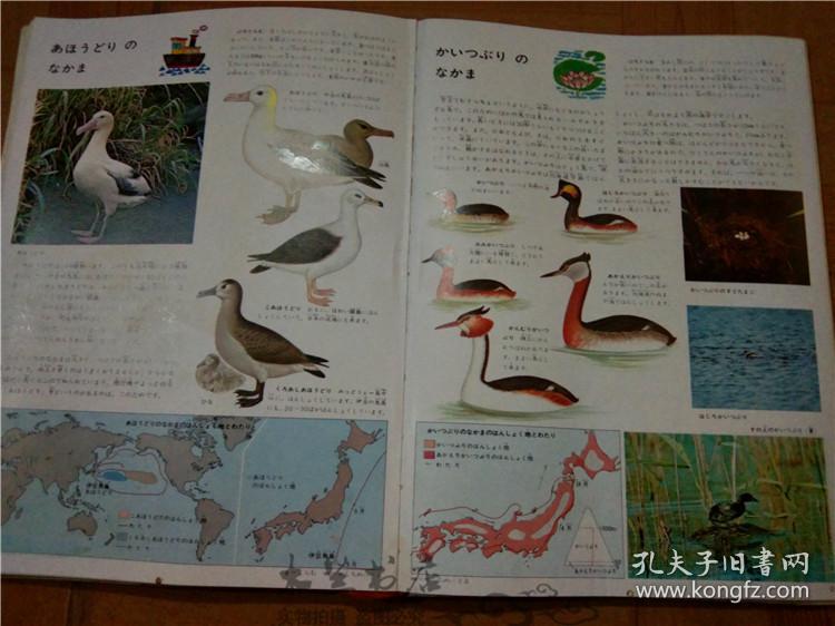 今日正版跑狗圖分享，探索7777788888跑狗圖的魅力，今日正版跑狗圖分享，探索魅力十足的777778跑狗圖