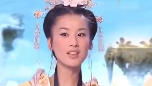 曾道道人資料免費大全，深度探索與解析，曾道道人資料深度解析與免費大全探索