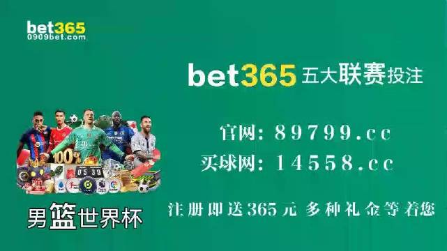 王中王中特馬王中王精準(zhǔn)資料解析與SEO優(yōu)化策略探討，王中王中特馬精準(zhǔn)資料解析與SEO策略探討