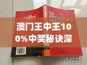 新澳門王中王期期中，探索與解析，新澳門王中王期期中，深度探索與解析