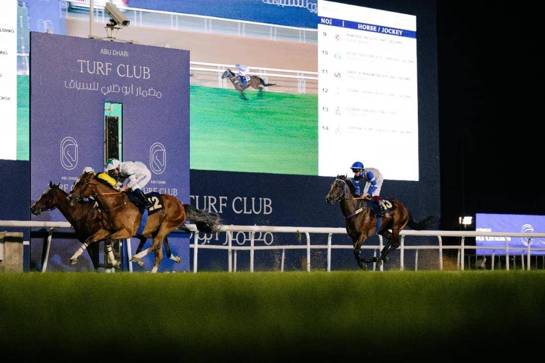 澳門特馬今晚開獎一，探索彩票背后的秘密與期待，澳門特馬今晚開獎，揭秘彩票背后的秘密與期待大獎的激動心情