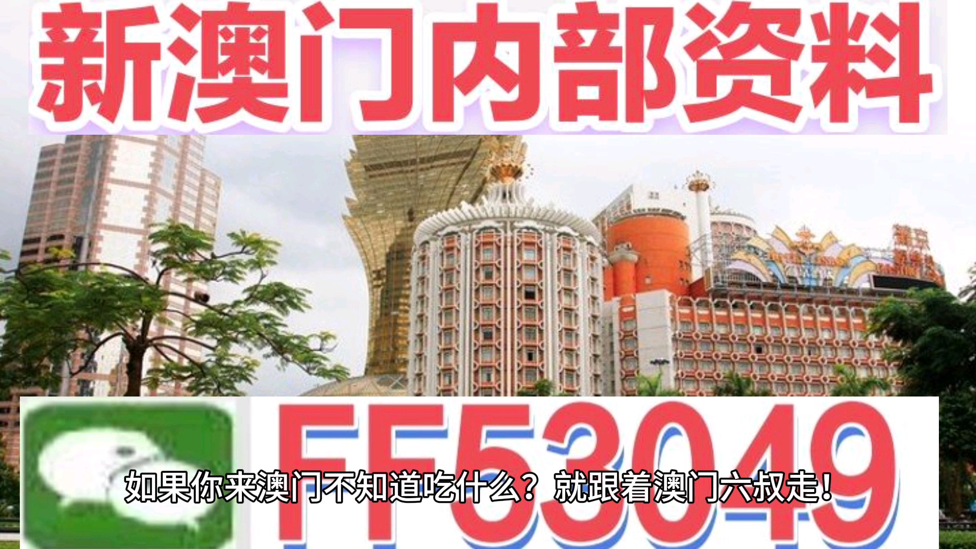 澳門今晚特馬生肖預測，探尋未來的幸運符號（2025年），澳門生肖預測揭秘，探尋未來幸運符號（特馬生肖預測 2025年展望）