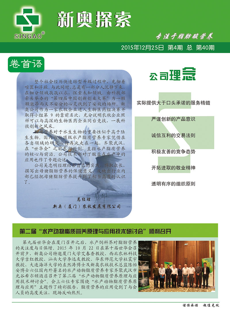 2025新澳正版資料查詢指南，2025新澳正版資料查詢手冊(cè)