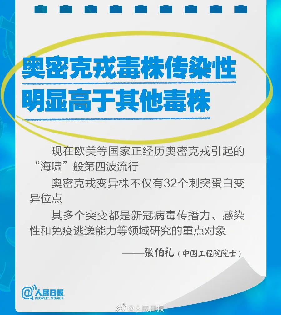 新奧2025最新資料大全，準(zhǔn)確資料全面解析，新奧2025最新資料大全，全面解析準(zhǔn)確資料一網(wǎng)打盡