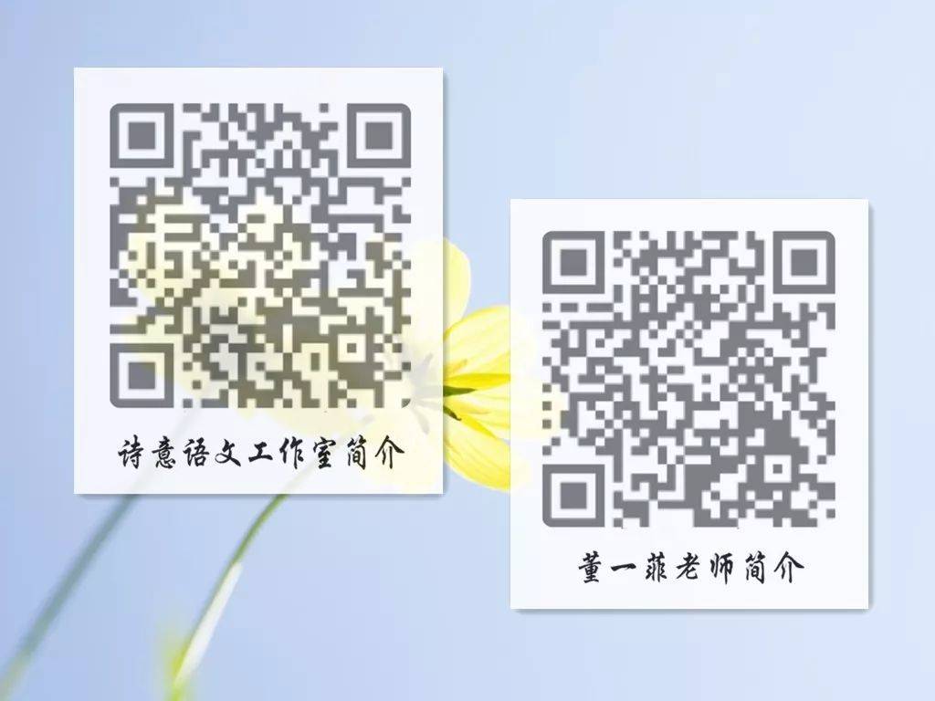 一碼一肖一特一，揭秘背后的秘密與獨(dú)特之處，揭秘一碼一肖一特一的獨(dú)特之處與背后秘密