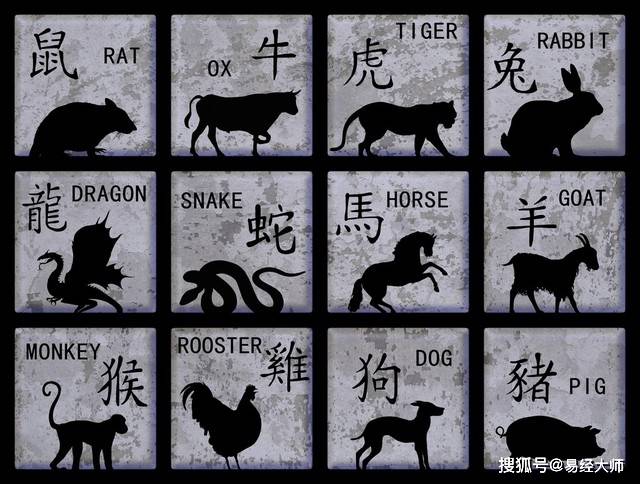 新澳特碼，羊?；⒏鲾?shù)10的獨特魅力與解析，新澳特碼，羊?；⒏鲾?shù)10的獨特魅力深度解析