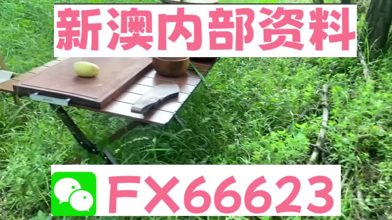 新奧特碼走勢(shì)圖解析與預(yù)測(cè)，新奧特碼走勢(shì)圖解析與預(yù)測(cè)，未來(lái)趨勢(shì)探討