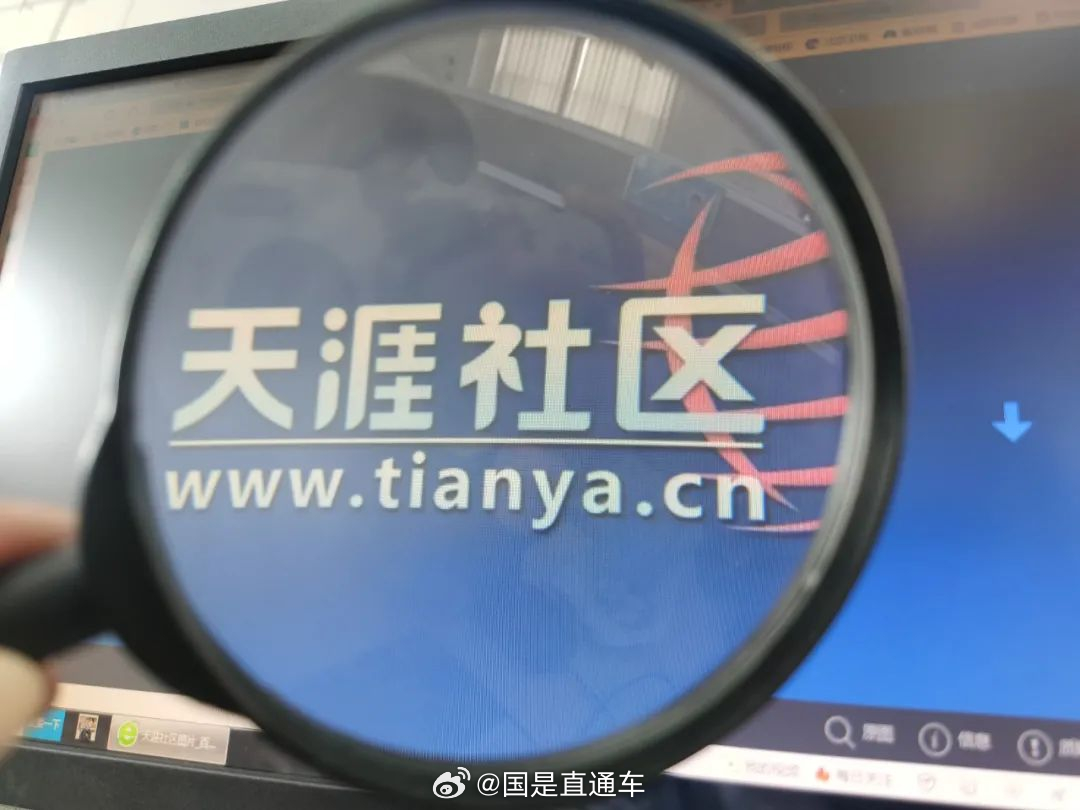 天涯國際觀察，全球視野下的深度分析與洞察，全球深度洞察，天涯國際觀察分析