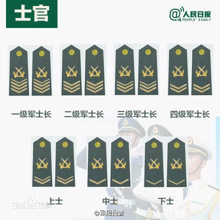全球各國軍士長軍銜對照表及其重要性，全球各國軍士長軍銜對照表，揭示其重要性