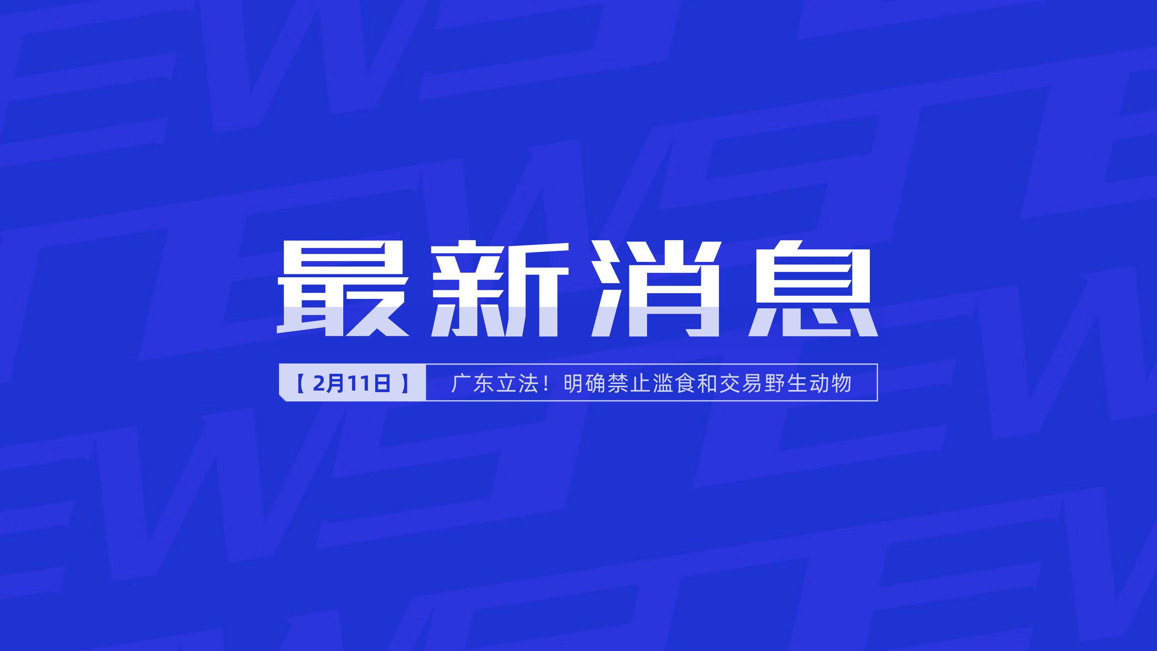 新聞最新新聞，掌握時(shí)事熱點(diǎn)，洞悉世界動(dòng)態(tài)，時(shí)事熱點(diǎn)速遞，掌握全球最新動(dòng)態(tài)新聞