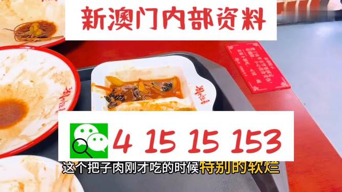 澳門王中王六碼新澳門，探索與解析，澳門王中王六碼新澳門，深度探索與解析