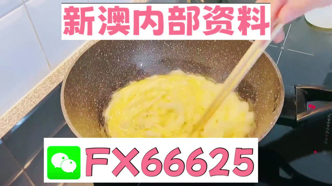 澳門九點半9點半網(wǎng)站——探索與體驗，澳門九點半網(wǎng)站，探索與體驗之旅