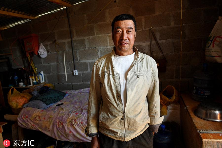 博科圣地組織，深度解析與理解，博科圣地組織深度解析與探究