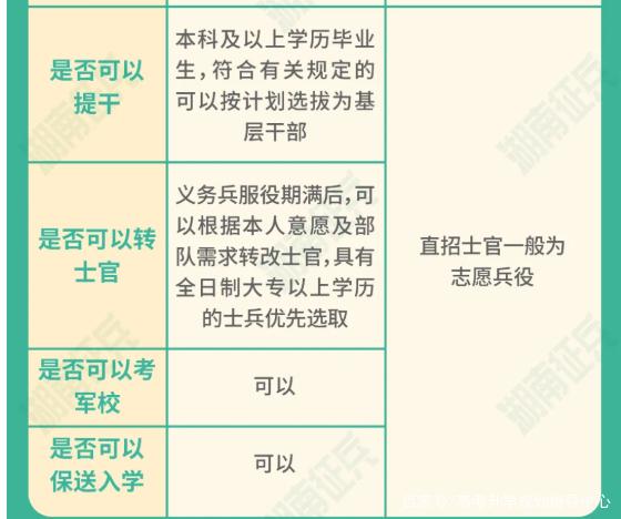士官直招與義務(wù)兵的區(qū)別，深入了解軍隊招募制度，直招士官與義務(wù)兵招募制度深度解析，軍隊招募制度詳解