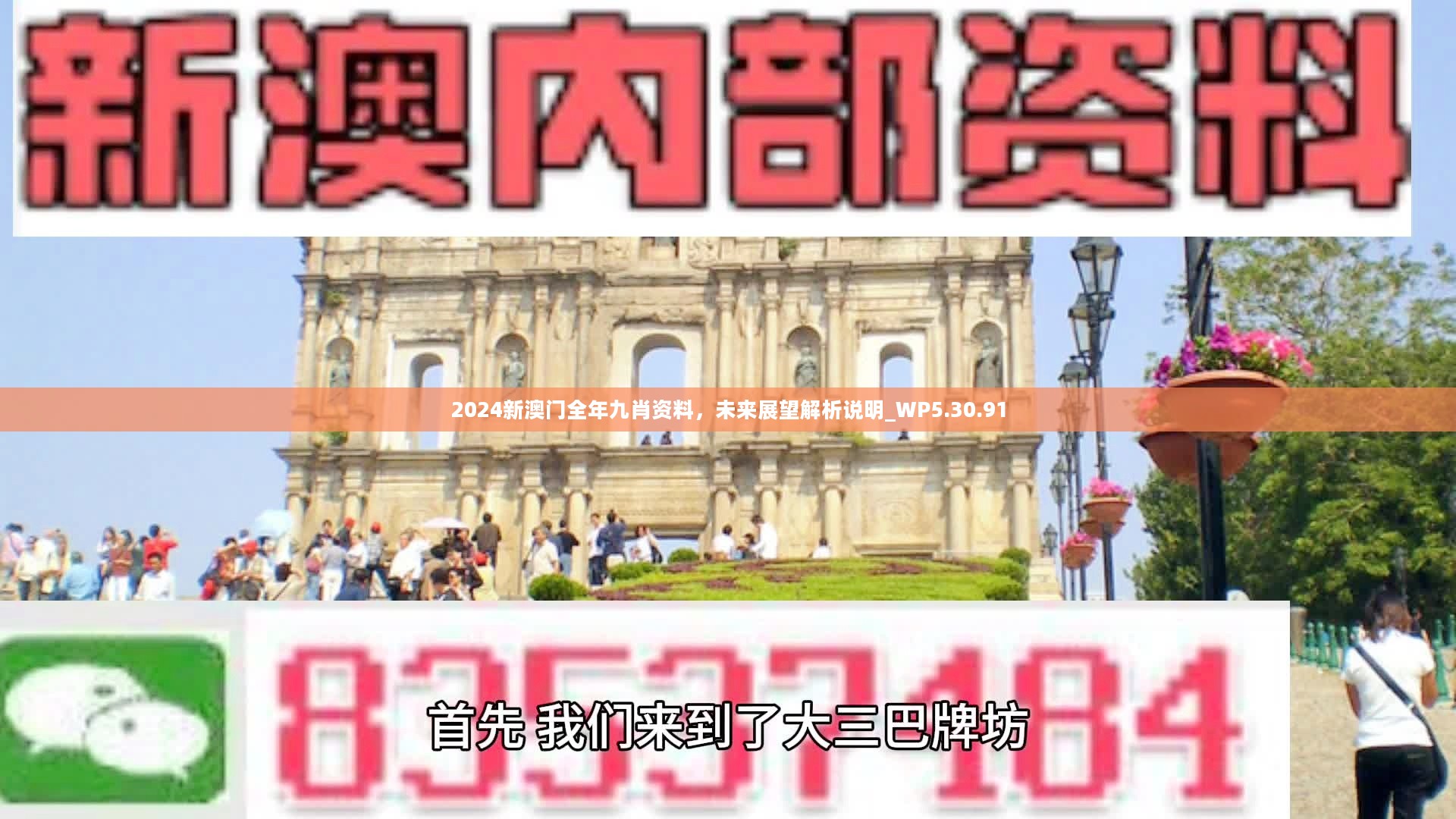 新澳門精準(zhǔn)九肖，揭秘預(yù)測(cè)技巧與策略，揭秘新澳門精準(zhǔn)九肖預(yù)測(cè)技巧與策略