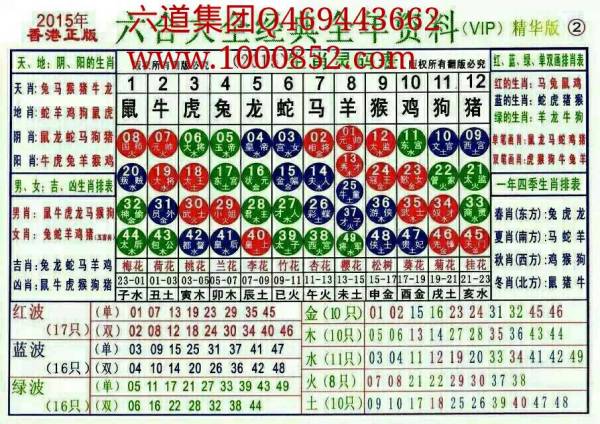 揭秘2024十二生肖49碼表——完整指南，揭秘十二生肖49碼表全攻略，2024年最新版指南