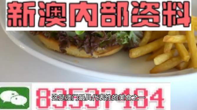 新澳2024生肖最新資料解析與預(yù)測，新澳2024生肖解析與預(yù)測報告
