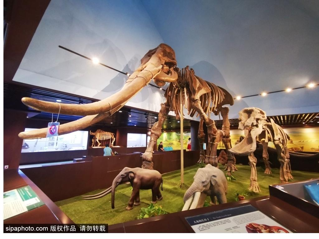 北京必去的十大博物館——探尋千年文化的精華之旅，北京必游十大博物館，千年文化精華之旅探尋記