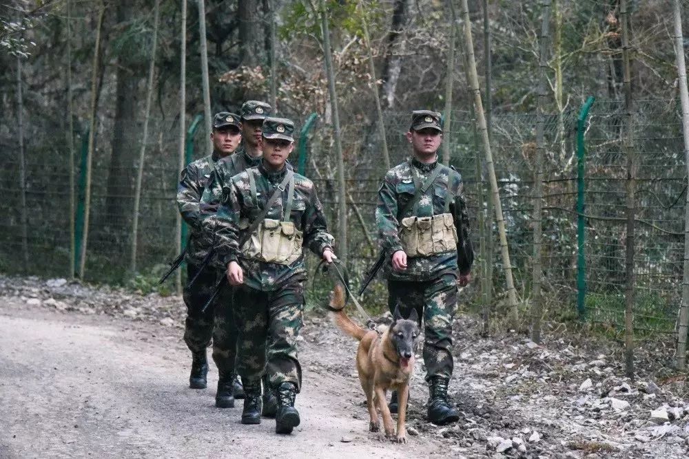 火箭軍是否都在大山之中？解析火箭軍的駐扎環(huán)境與任務特點，火箭軍的駐扎環(huán)境與任務特點解析，大山之中還是多元布局？