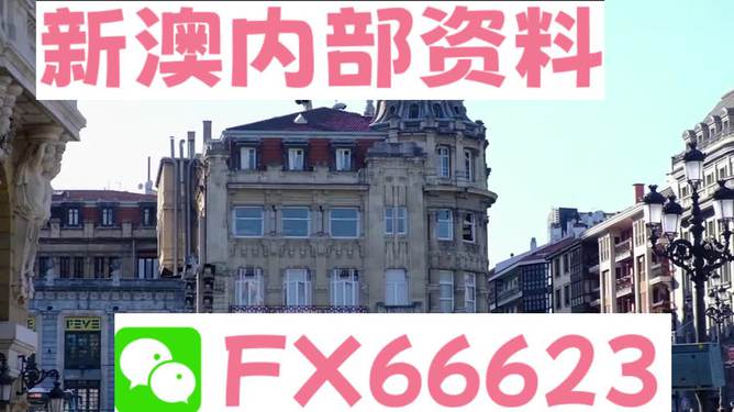 澳門六資料大全，深度探索與揭秘，澳門六資料大全，深度探索與揭秘之旅