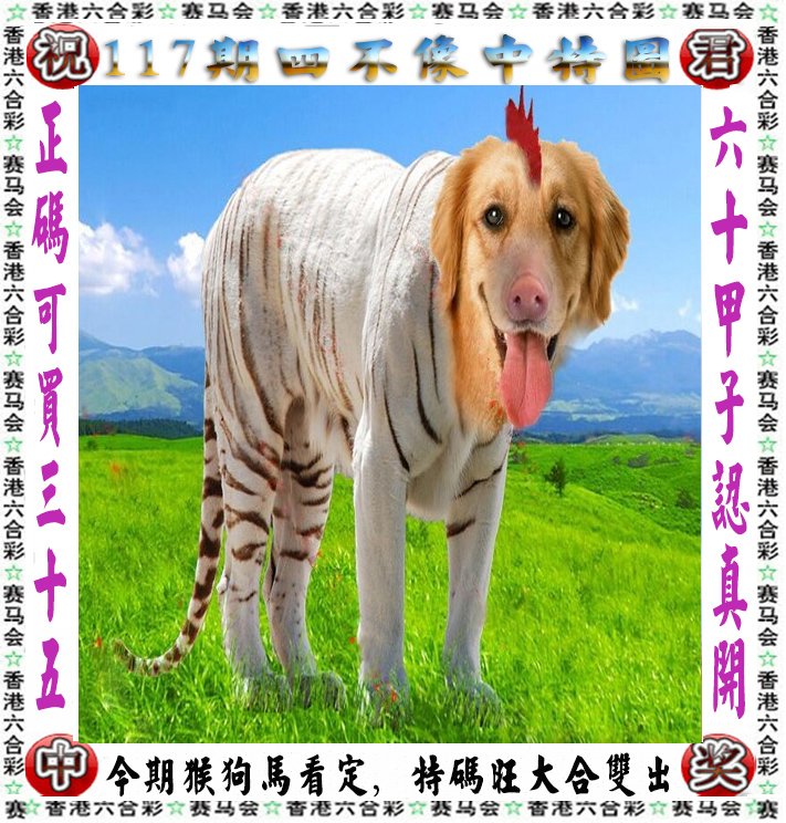 王中王四不像一肖論壇，探索神秘論壇的世界，王中王四不像一肖論壇，神秘論壇世界的探索之旅