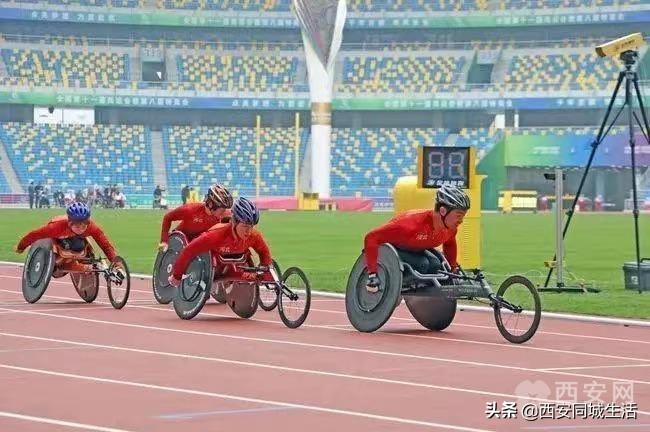 2025年澳門精準免費大全——全面解析澳門未來展望與特色體驗，澳門未來展望與特色體驗解析，澳門精準免費大全（2025版）
