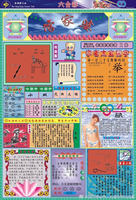 王中王四不像必出一肖圖——揭秘彩票背后的秘密，揭秘彩票背后的秘密，王中王四不像必出一肖圖的真相探索
