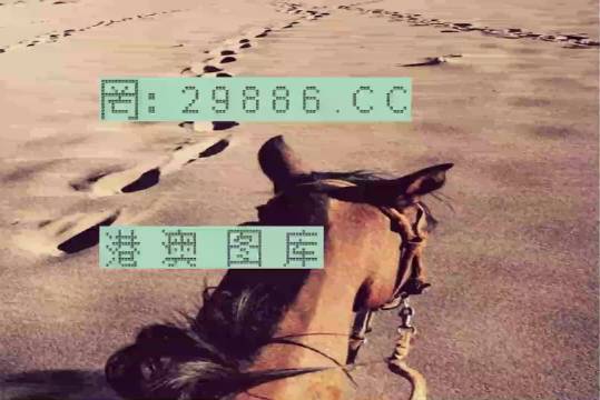 香港特馬資料王中王24期，深度解析與探索，香港特馬資料王中王深度解析與探索，第24期探索之旅