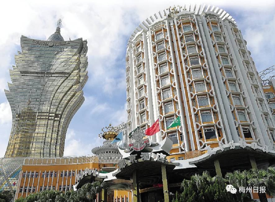新澳門最精準——探索澳門的精準旅游魅力，澳門精準旅游魅力探索之旅