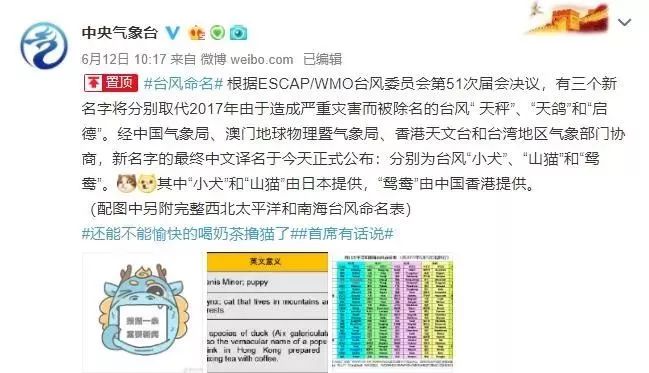 新澳門必中三肖三碼三期必開劉伯，揭秘彩票背后的秘密與策略，揭秘彩票背后的秘密與策略，劉伯的新澳門三期必開三肖三碼預測技巧