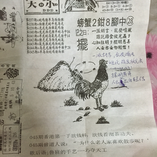 揭秘林中的高手王中王猜一肖的奧秘，揭秘林中之王王中王與生肖奧秘探秘