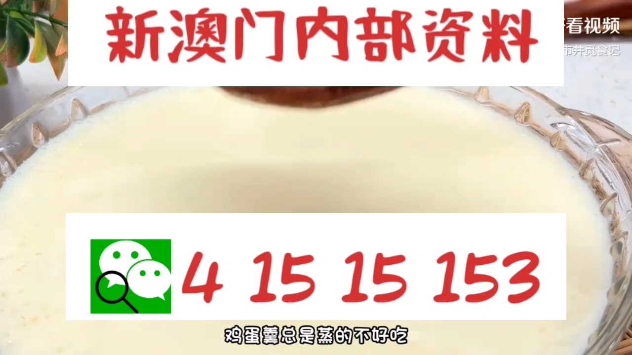 最快新澳門開獎直播，實時掌握開獎信息，體驗極速互動，新澳門實時開獎直播，極速掌握開獎信息，互動體驗盡在指尖