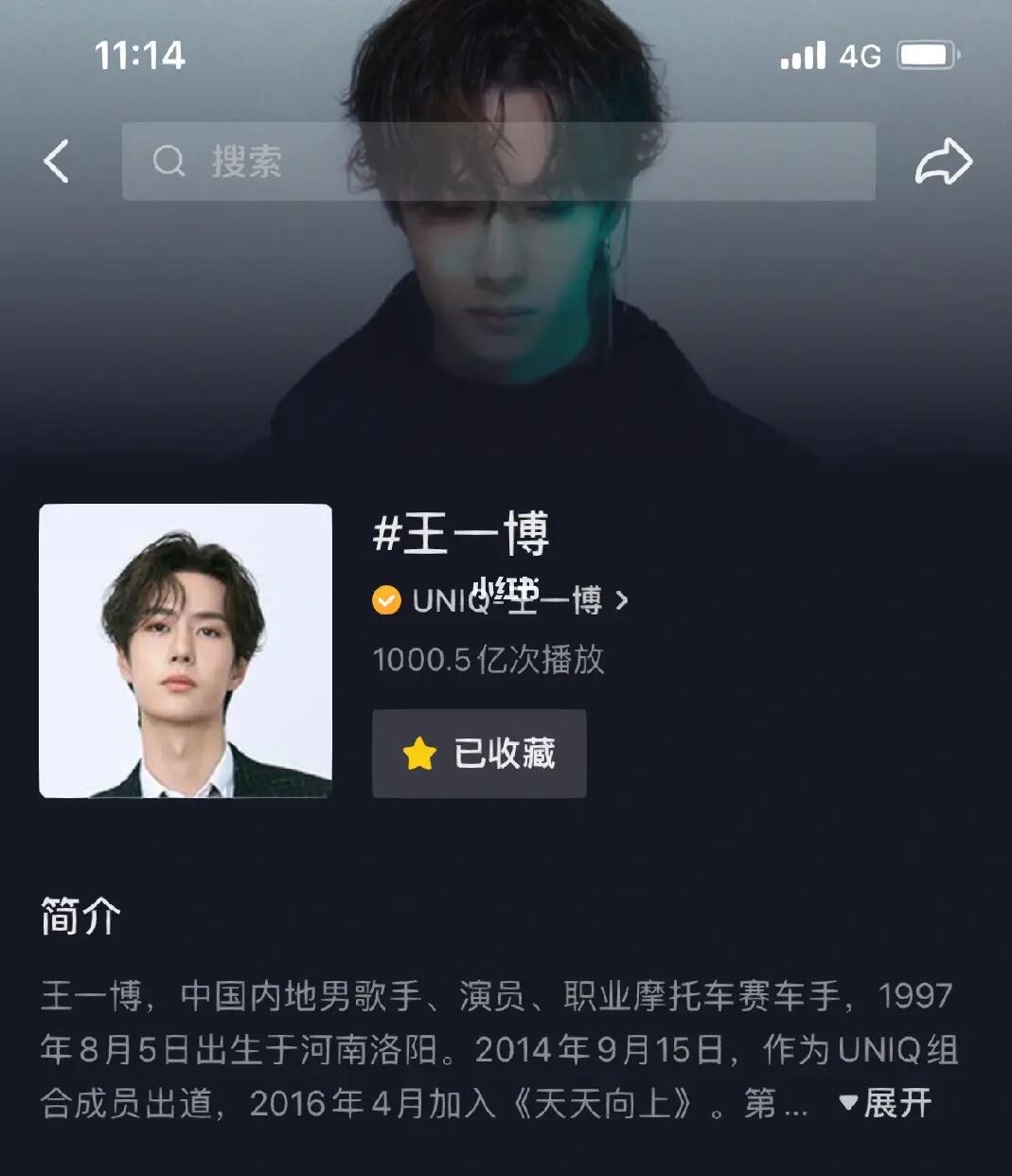 王中王一肖內(nèi)部資料詳解，王中王一肖內(nèi)部資料深度解析