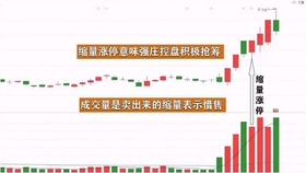 王中王一肖平碼，揭秘背后的故事與SEO策略，王中王一肖平碼背后的故事與SEO策略揭秘