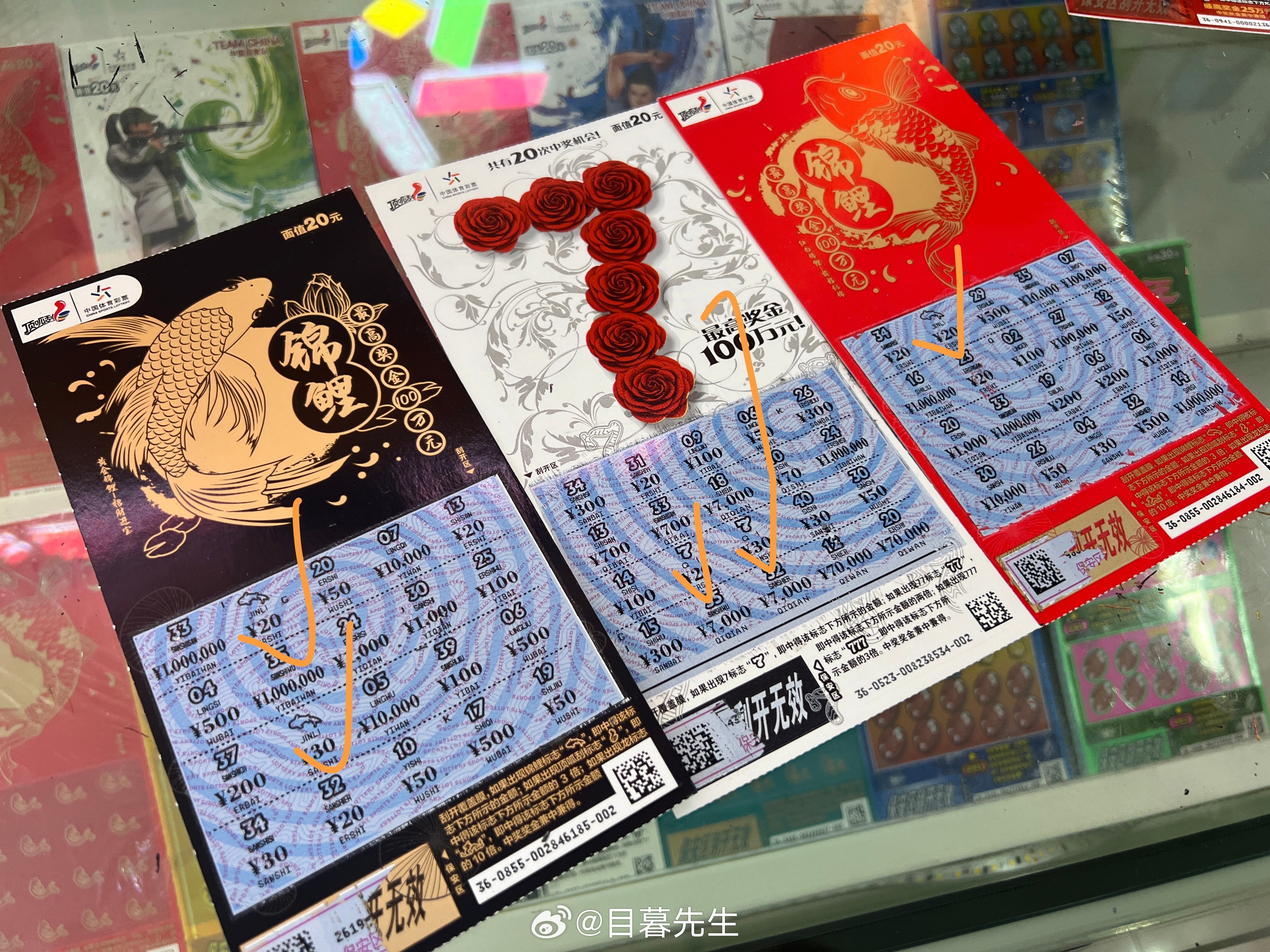 全年王中王一肖中特，深度解析與預(yù)測，全年王中王一肖深度解析與預(yù)測，揭秘特肖趨勢