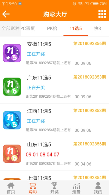 王中王黃金一肖二碼資料，深度解析與SEO優(yōu)化，王中王黃金一肖二碼資料深度解析與SEO優(yōu)化技巧