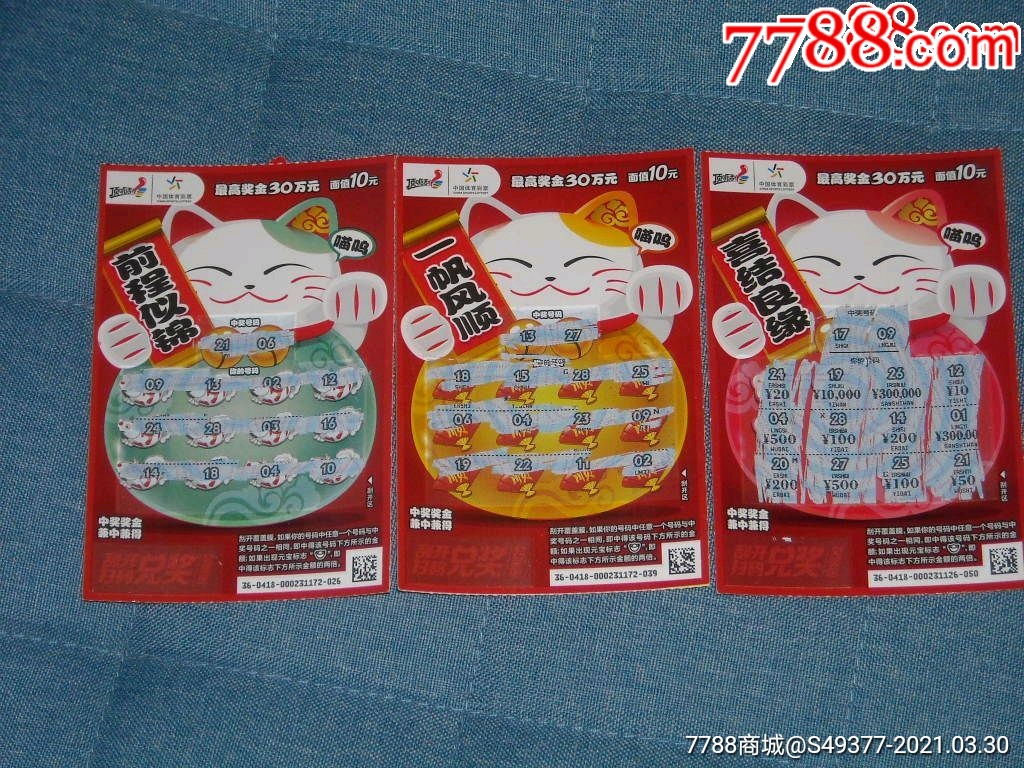 揭秘王中王資料一肖中特y招財貓，真相與秘密，揭秘王中王資料與招財貓，真相與秘密探索
