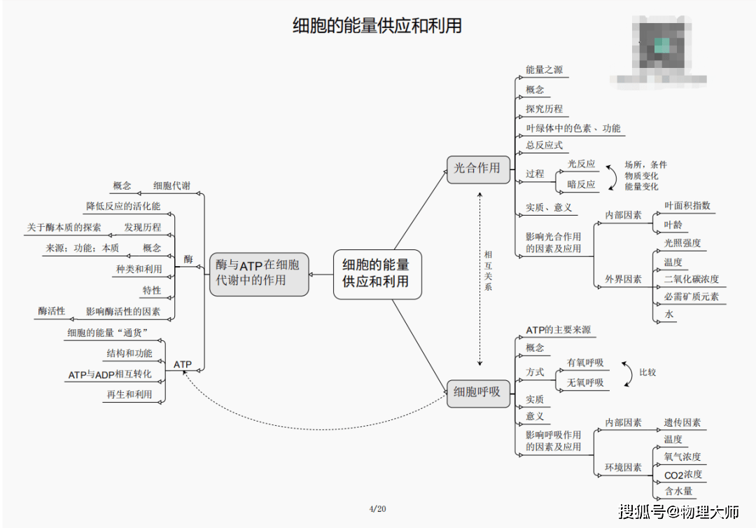 揭秘劉伯溫四肖三期內(nèi)必出一，神秘預(yù)言背后的真相，劉伯溫四肖三期預(yù)言真相揭秘，神秘預(yù)言背后的必然與偶然