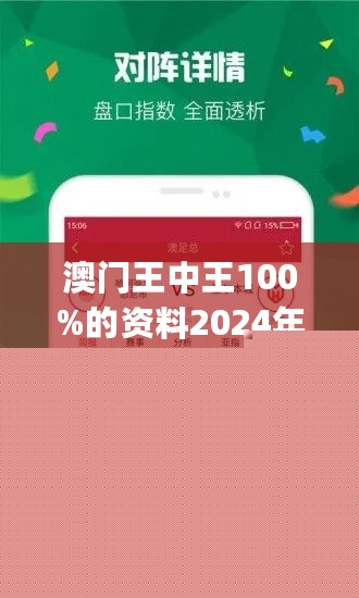 王中王網(wǎng)站一肖，探索與SEO優(yōu)化策略，王中王網(wǎng)站一肖，深度探索與SEO優(yōu)化策略實(shí)踐